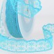 Dentelle rachel 20mm