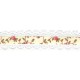 Ruban/dentelle rachel
