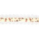 Ruban/dentelle rachel
