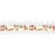 Ruban/dentelle rachel