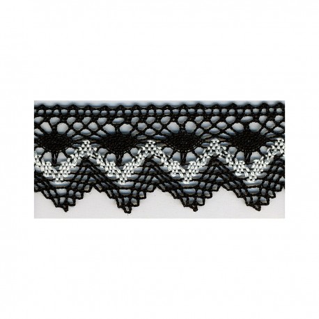 Dentelle bicoluni 4354