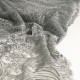 Dentelle paillette