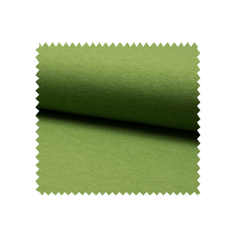 Tissu Jersey Chine Pistache