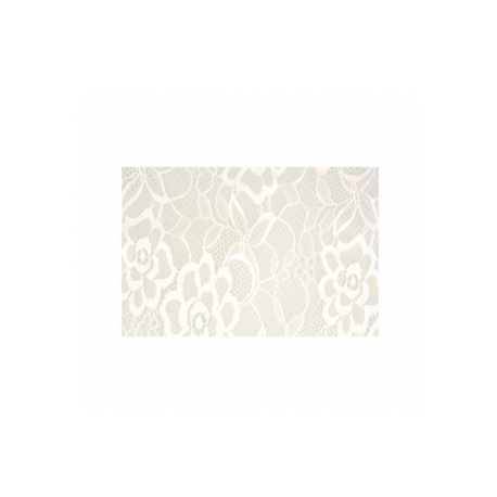Tissu Dentelle Petite Laize Blanc