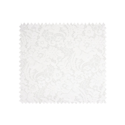 Tissu Dentelle Grande Laize Blanc