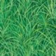 Tissu Gazon Vert