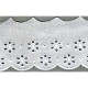 Broderie anglaise 50 mm Blanc - 