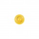 Bouton plastique
