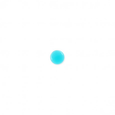 Bouton pastille