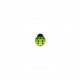 Bouton enfant coccinelle