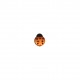 Bouton enfant coccinelle