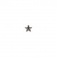 Bouton bijou etoile