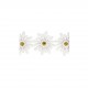 Guipure fleurs strass
