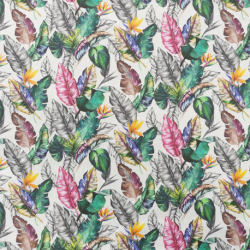Tissu Plume Popeline Digital Multico 