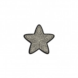 Ecussons etoile - Argent