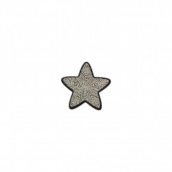 Ecussons etoile - Argent