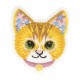 Ecusson animaux colorés - Chaton roux