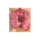 Magnet hibiscus en satin