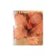 Magnet hibiscus en satin