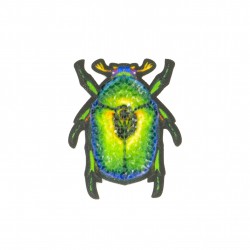 Ecusson papillon - Insecte