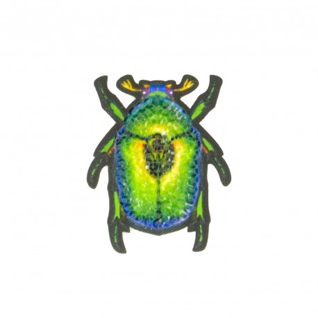 Ecusson papillon - Insecte