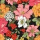 Tissu Imprimé Johanna Noir 