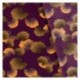 Tissu Crepe Imprime Violet Feuilles