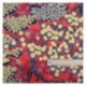 Tissu Imperial Serge Rouge