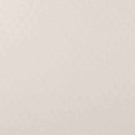 Tissu Jersey Ajouré Blanc