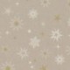 Tissu Demi Panama Magic Star Fond Lin 