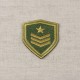 Ecusson blason armee - Army fond kaki