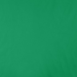 Tissu Angela Uni Vert