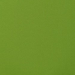 Tissu Luciano Punta Vert 