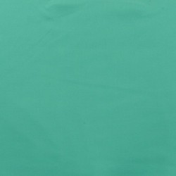 Tissu Luciano Punta Vert Clair
