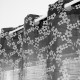 Rideau sakura 140x245