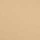 Tissu Jersey Champagne