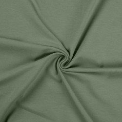 Tissu Jersey Céladon