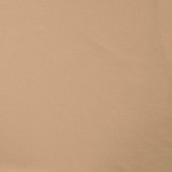 Tissu Jersey Velours Nicky Uni Champagne