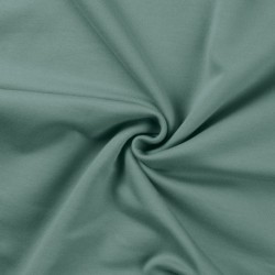 Tissu Sweat French Terry Vert Clair 