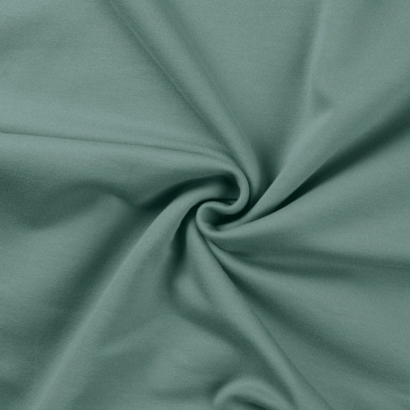 Tissu Sweat French Terry Vert Clair 
