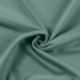Tissu Sweat French Terry Vert Clair 