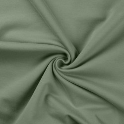 Tissu Sweat French Terry Celadon