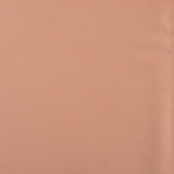 Tissu Polyester Lourd Elasthane Nude