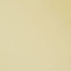 Tissu Jersey Sport Mat Beige 