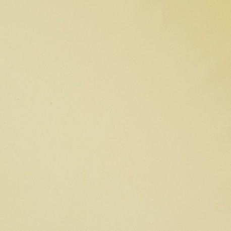 Tissu Jersey Sport Mat Beige 