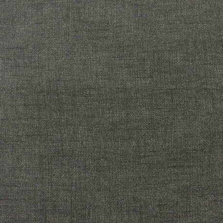 Tissu Calanques Enduit Chine Anthracite