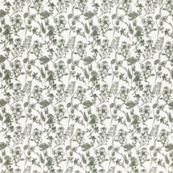 Tissu Nadine Coton 57fils Kaki 