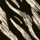 Tissu Rayonne Imprimée Noir blanc 
