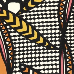 Tissu Viscose Rayonne Imprimée Orange 