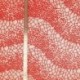 Broderie Sur Tulle Rouge